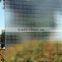 4-10mm Decorative Flyfot Pattern Glass