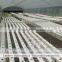 Hydroponics Greenhouse
