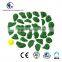 Mixed Small Positive Climbing Holds (30 Pcs Pack)