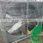automatic temperature controlled fan for chicken cages