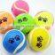 customized promotional pet tennis ball
