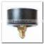 High quality black steel back connection low pressure capsule type pressure gauge