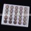 POPULAR selling coin cell 1.5v watch batteries AG10 Alkaline button cell battery free mercury