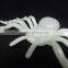 Cheap Night Light Halloween Spider Toy