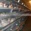day old broiler chicks for chicken farm