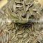 2016 new crop Hulled hybird sunflower seeds 3638 market price