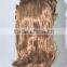 Synthetic long curls wig anime cos wig N274