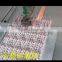 High precision dispenser of glue /adhesive
