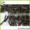 Green Tea Wholesale in Guangzhou Green Tea Weight Loss