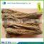 angelica sinensis root