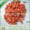 No preservative Preservation Process Natual Flavor Freeze-dried Carrot Dice