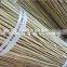 bamboo fense