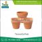 Widely Selling Round and Square Shape Teracotta Pots