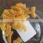 High Effective professional pellet food dryer machine