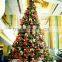 home gardon deco Artificial 6m tall christmas trees SDS-01