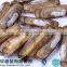 Whole Round Frozen Razor Clam Shellfish with Shell Chinese Supplier