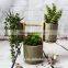 Unique Beautiful Home & Garden Decoration Nature Green Bamboo Flower Vase