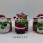 New products natural flower pot dolomite christmas decoration
