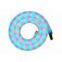LED neon rope light