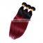 Wholesale fast shipping virgin Indian hair vendors , ombre hair