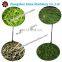 Black Tea Roller machine/green tea rolling machine-small roller machine