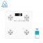 Cost-Effective Body Fat Composition Analyser Blue Tooth Electronic Weighing Scale