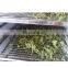 Cheapest price Centella Asiatica/High quality centella Asiatica dried leaves from Vietnam