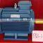 YE3/IE3 high efficiency premium electric motor