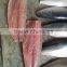 Processed frozen Pacific mackerel fillet and Scomber Japonicus
