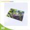 3d hologram scenery picture for home decoration