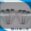Umbrella head roofing nail/Galvanized roofing nails with washer