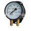 Double needle pressure gauge with