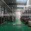 Walnut Production Line for Protein Beverage