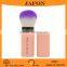 Pink Synthetic Hair Retractable Refillable Powder Brush