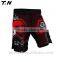 Custom fabric shorts mma, kick boxing shorts, fight shorts                        
                                                Quality Choice