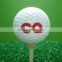 Blank Oem Custom Golf Balls
