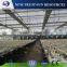Single layer plastic greenhouse for vegetable growing