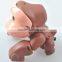 Top quality and popular pull line toy for sale