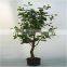 artificial plant banyan tree