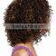 High Quality Wigs Curly for Women African