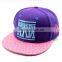 Oem Flat Brim Cap 6 Panel Flat Brim Cap Embroidery Your Design Custom Snapback Cap