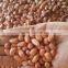 Indian Long Shape Peanuts / Peanut Kernel Bold 50-60 COUNT