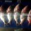 New Stock BQF Frozen W/R Silver Carp Fish