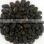 Salt Roasted Type Of Black Bean / Black Bean Snacks Manufacturer