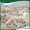 Hot sale free dust shavings exporting sawdust wood