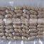 Shandong Peanut Price
