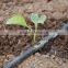Green House Drip Irrigation Pipe System