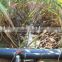 DAYU Irrigation-Listed Company Sugarcane Drip Irrigation Projects