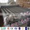 Competitive price and high quality chain link fence/dog proof chain link fencing(original manufacture with big supply)