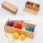 Wooden Baby Toys Froebel GABE1 Cognitive Developing colorful Mesh Ball Teaching Learning 12 Ball 6 Colour